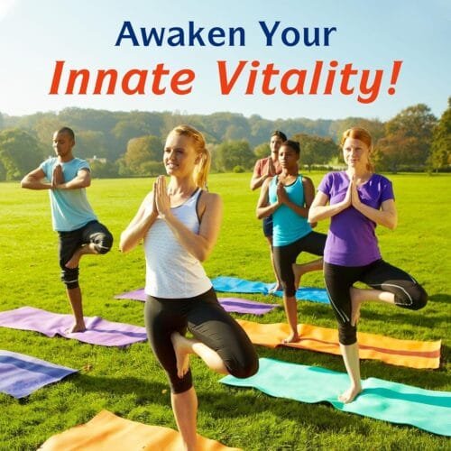 Probióticos 32 cepas 120 mil millones CFU + Prebióticos y Enzimas Digestivas | Innate Vitality (Unisex) - Imagen 6